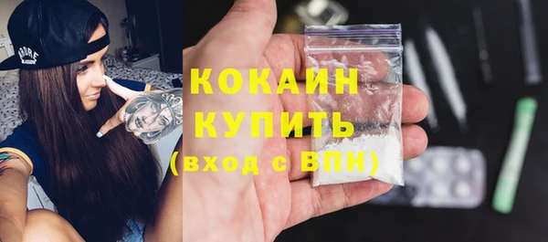 ГАЛЛЮЦИНОГЕННЫЕ ГРИБЫ Богданович