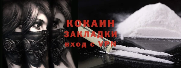 ГАЛЛЮЦИНОГЕННЫЕ ГРИБЫ Богданович