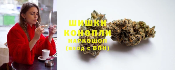 ГАЛЛЮЦИНОГЕННЫЕ ГРИБЫ Богданович