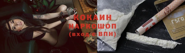 стаф Тавда