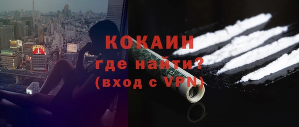 ГАЛЛЮЦИНОГЕННЫЕ ГРИБЫ Богданович