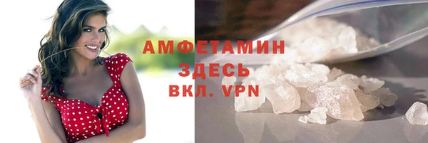 ГАЛЛЮЦИНОГЕННЫЕ ГРИБЫ Богданович