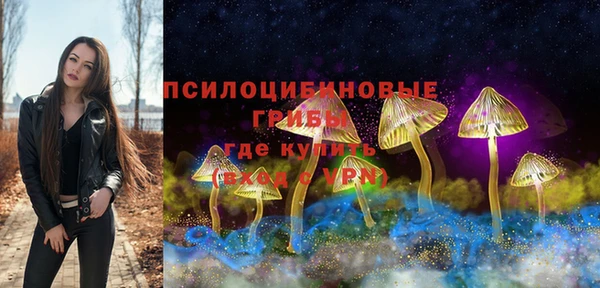 mdpv Тында
