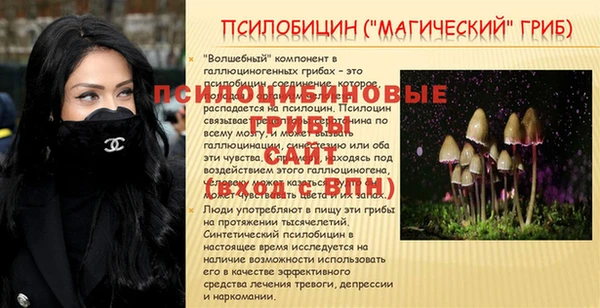 ПСИЛОЦИБИНОВЫЕ ГРИБЫ Богородицк