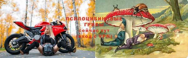 ГАЛЛЮЦИНОГЕННЫЕ ГРИБЫ Богданович