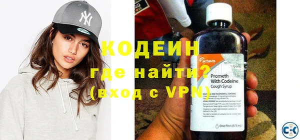ГАЛЛЮЦИНОГЕННЫЕ ГРИБЫ Богданович
