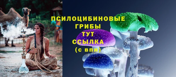 ПСИЛОЦИБИНОВЫЕ ГРИБЫ Богородицк