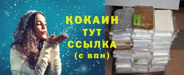 ГАЛЛЮЦИНОГЕННЫЕ ГРИБЫ Богданович