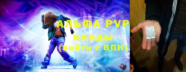 ГАЛЛЮЦИНОГЕННЫЕ ГРИБЫ Богданович