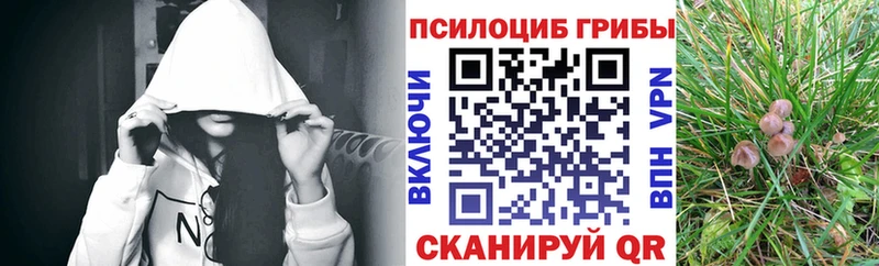 купить закладку  Конаково  это наркотические препараты  Псилоцибиновые грибы мицелий 